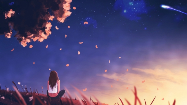 开元官方乒乓球拍子乒乓球台卓