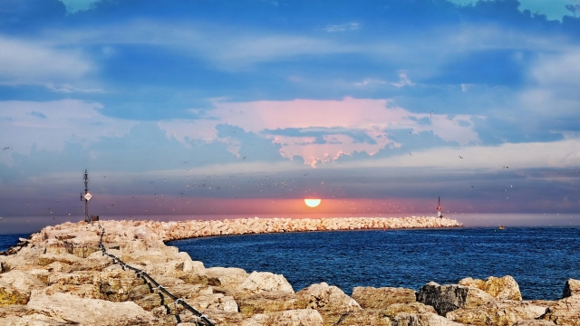 开元官方田径练速度的器材有什么